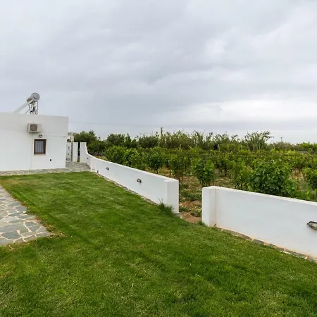 Naxos Cozy Vineyard * Naxos City