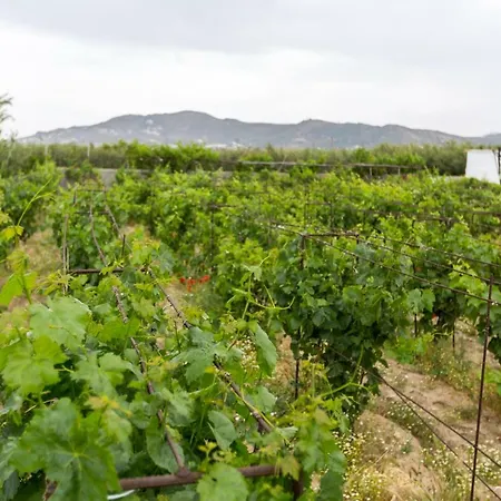 Naxos Cozy Vineyard Hébergement de vacances *